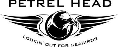 T shirts petrel head Black